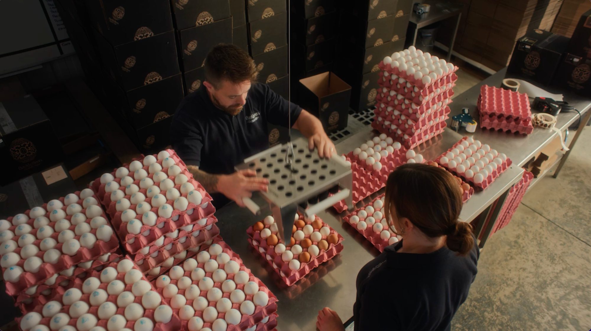 Cacklebean Eggs commercial still